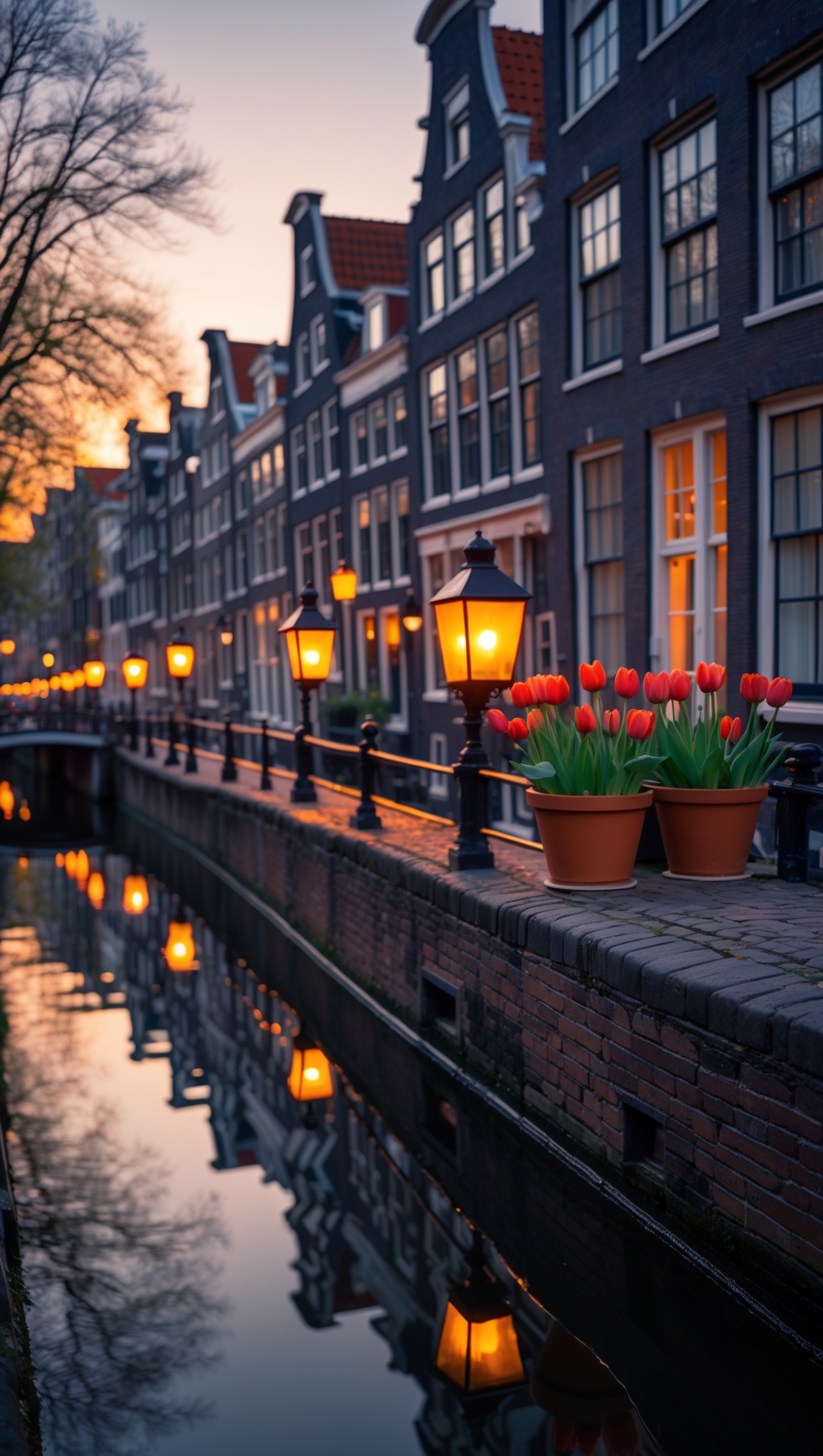 Fall in Love in Amsterdam's Best Hotels