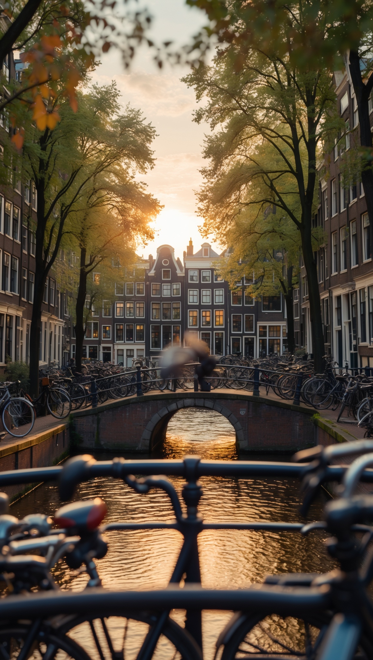 Amsterdam Done Right: Top Picks